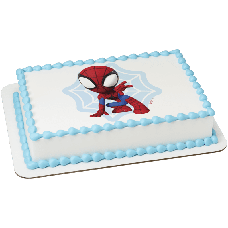 MARVEL Spidey and His Amazing Friends Spidey Web Cake