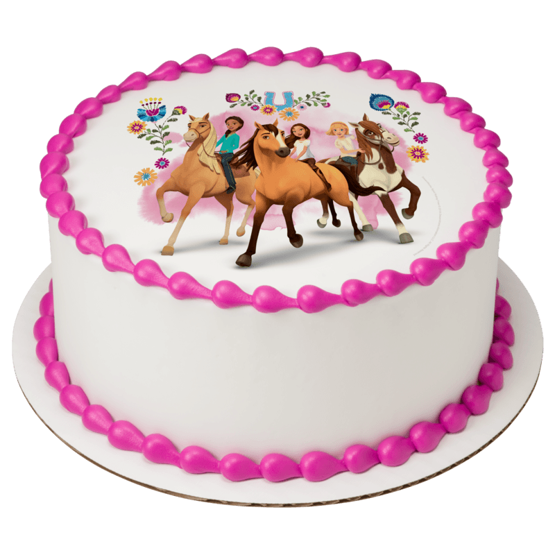 DreamWorks Spirit Find Your Adventure Cake