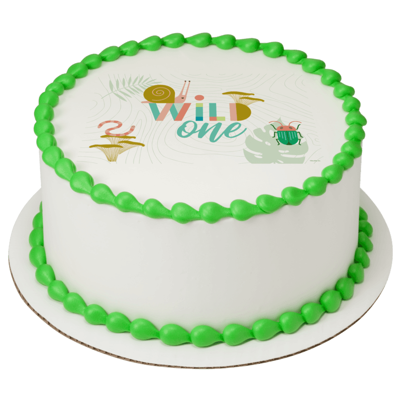 Wild One Cake