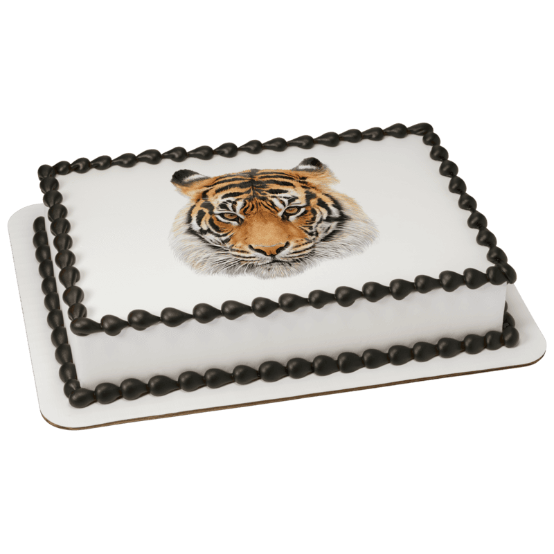 Siberian Tiger Cake