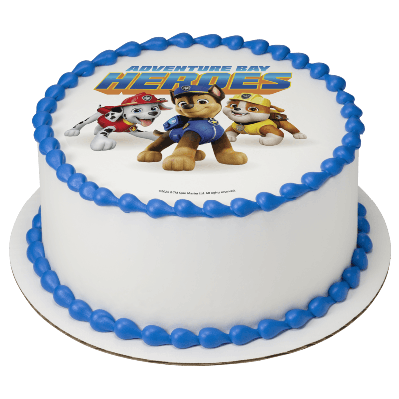 PAW Patrol Adventure Bay Heroes Cake