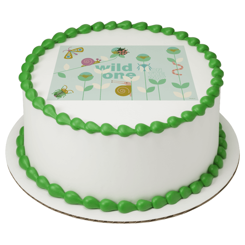Wild One on the Way Cake