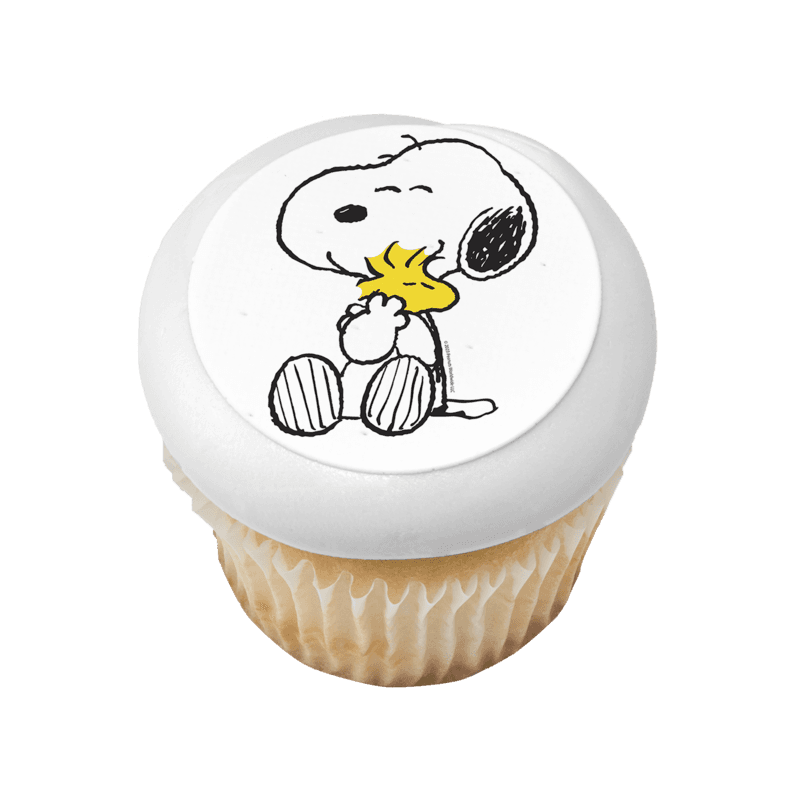 Peanuts® Snoopy® and Woodstock® Cupcake