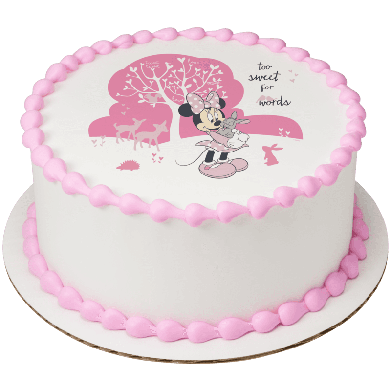Disney Minnie Mouse Too Sweet Cake