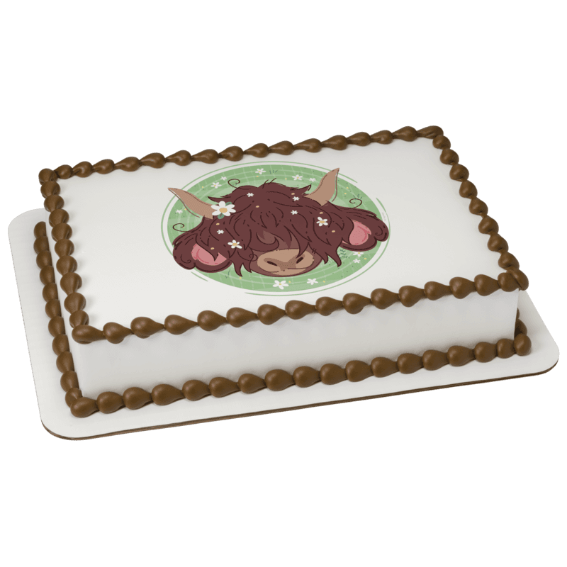 Highland Cow Cake