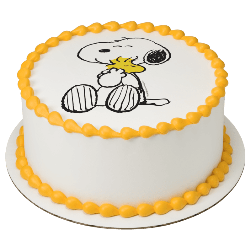 Peanuts® Snoopy® and Woodstock® Cake