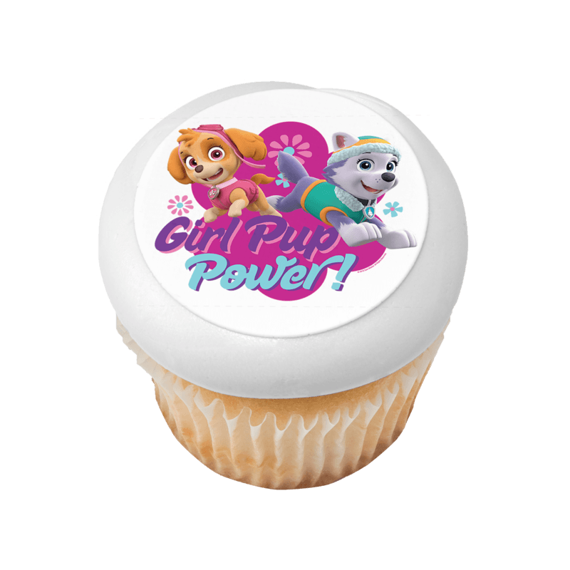 PAW Patrol Girl Pup Power Cupcake