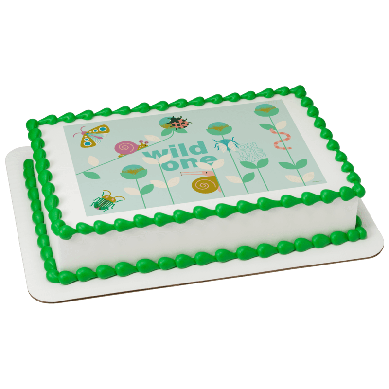 Wild One on the Way Cake