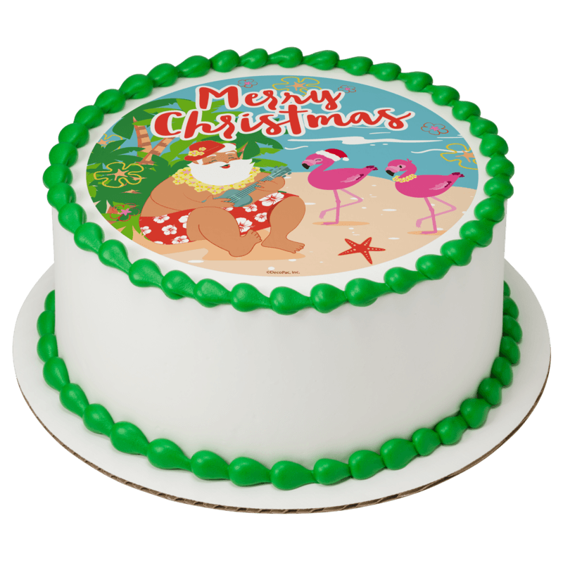Santa on Summer Holiday Cake