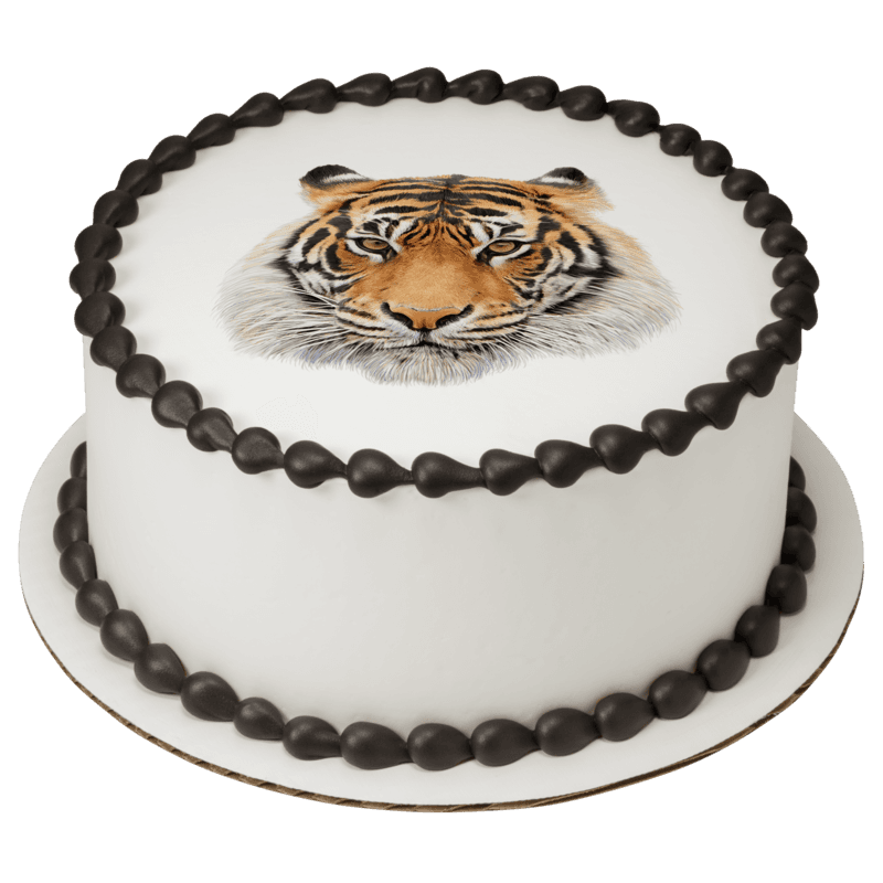 Siberian Tiger Cake