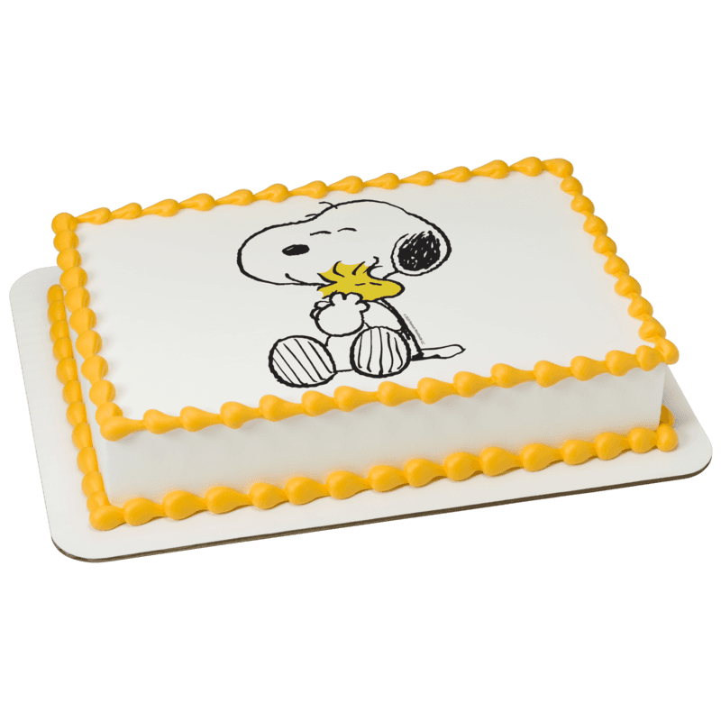 Peanuts® Snoopy® and Woodstock® Cake