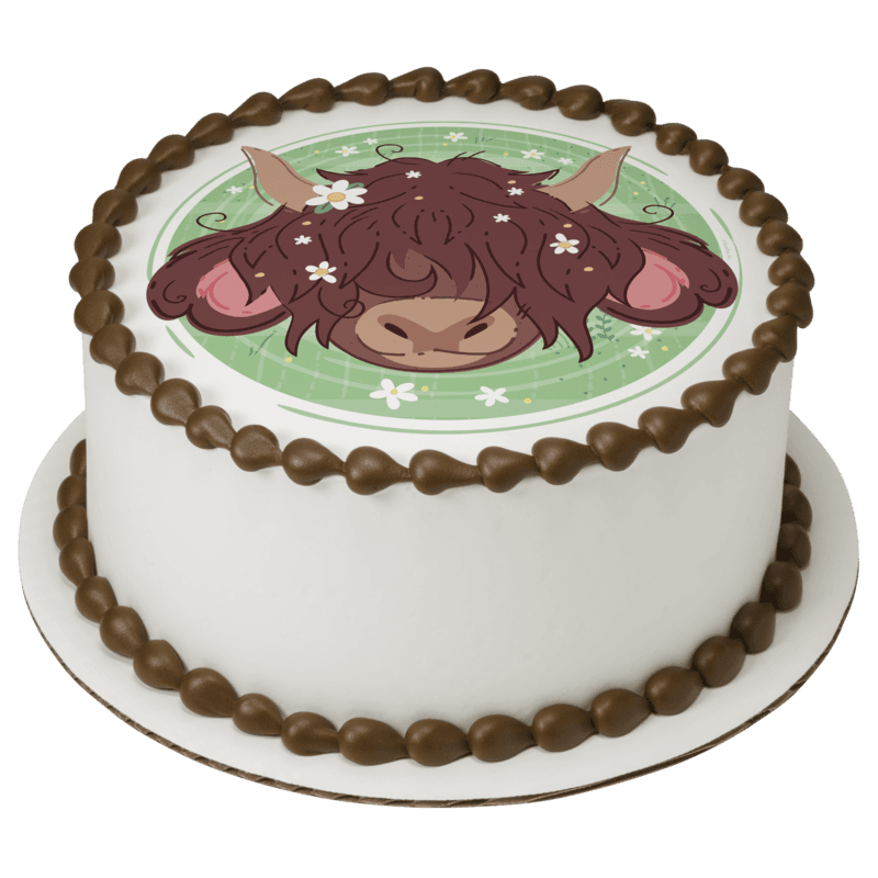 Highland Cow Cake