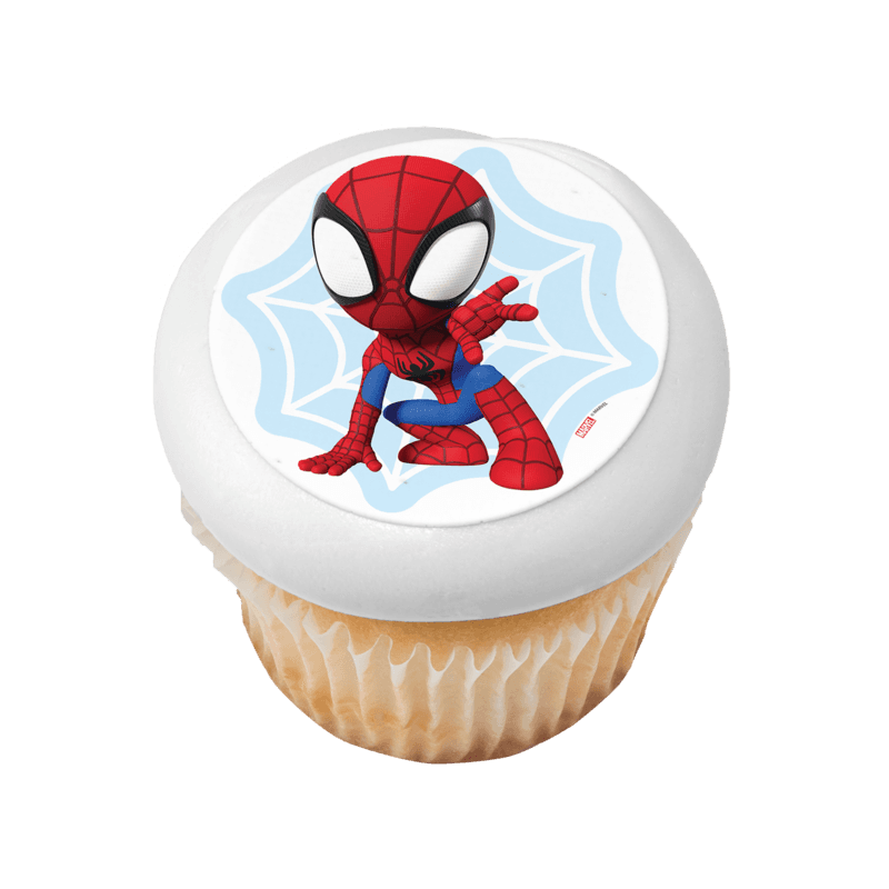 MARVEL Spidey and His Amazing Friends Spidey Web Cupcake