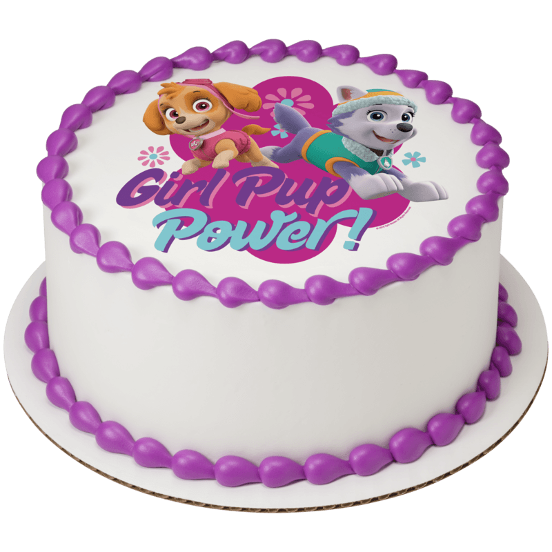 PAW Patrol Girl Pup Power Cake