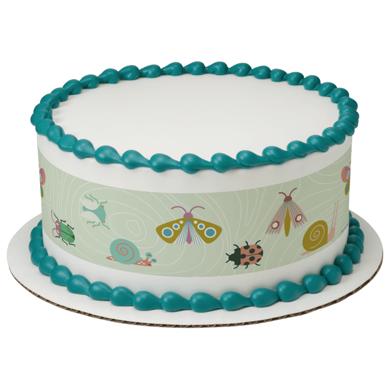 Wild Bugs Cake