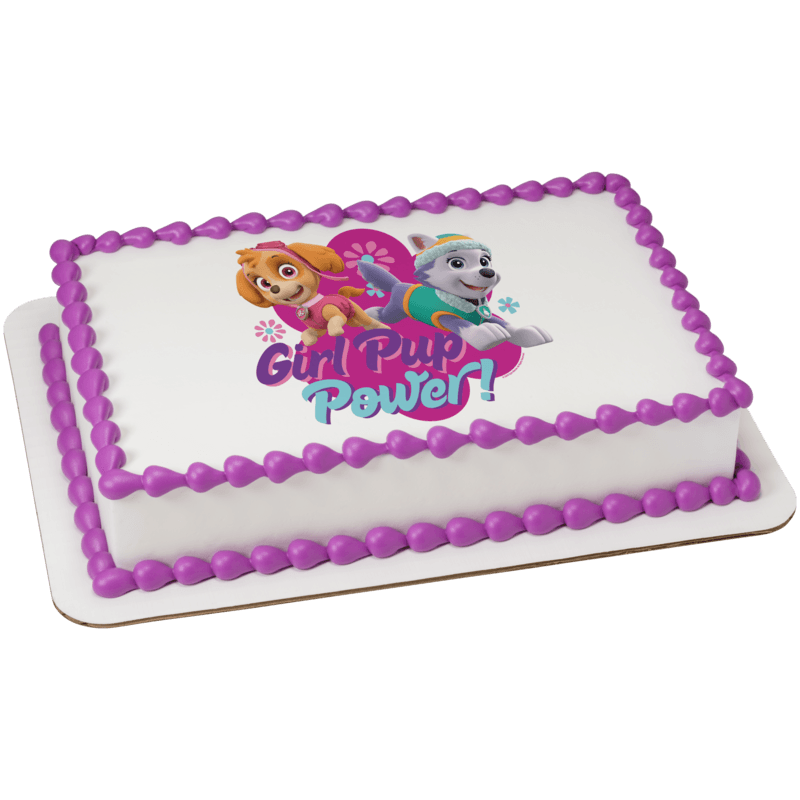 PAW Patrol Girl Pup Power Cake