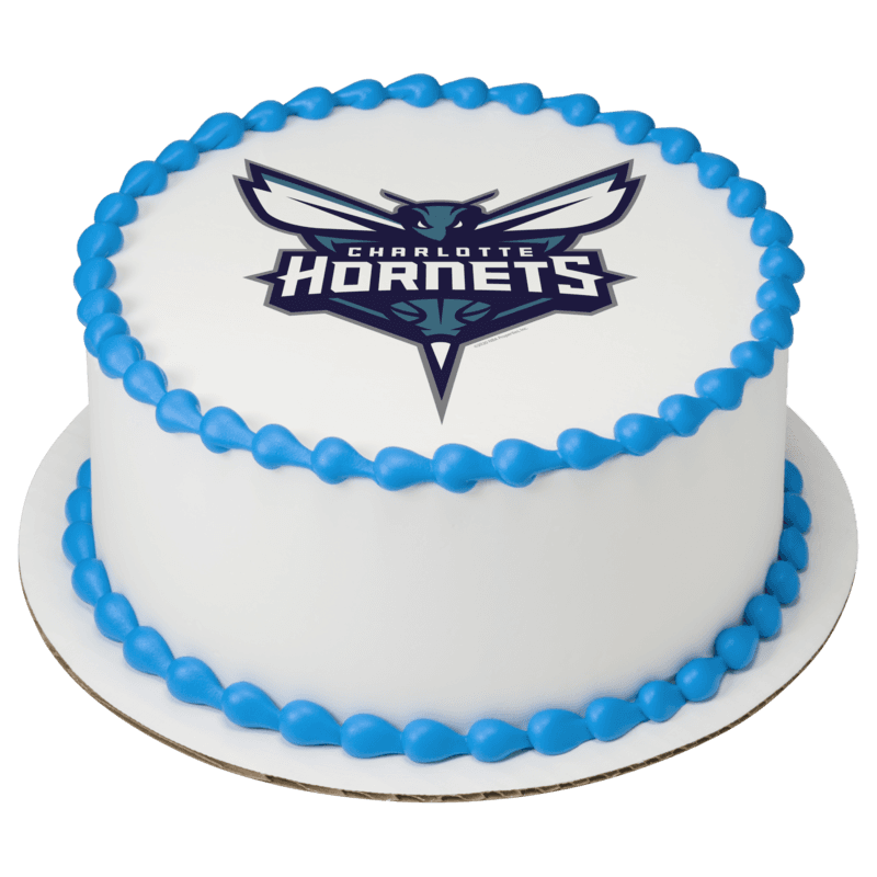 NBA Charlotte Hornets Cake