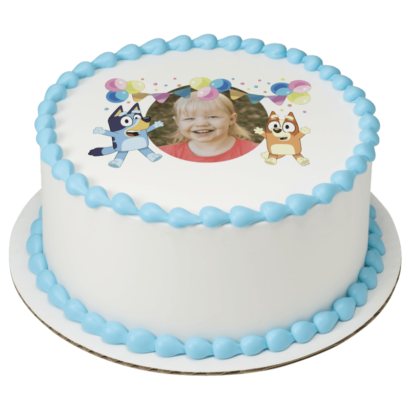 Bluey Party Fun Cake